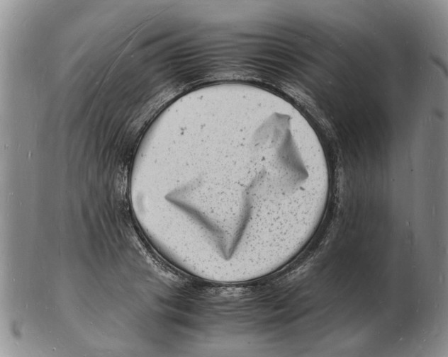 X0000102780841200809151101