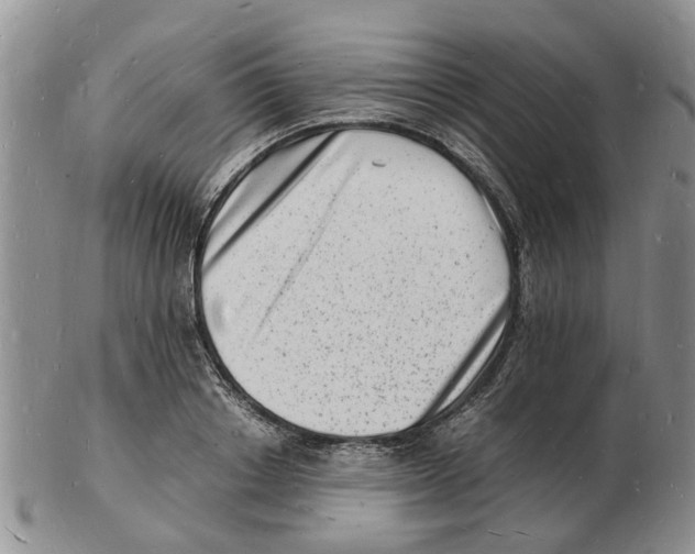 X0000102780842200809151101