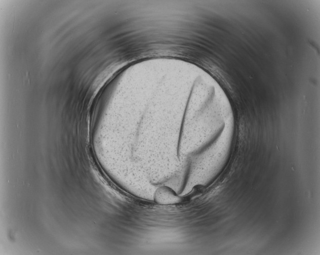 X0000102780844200809151101