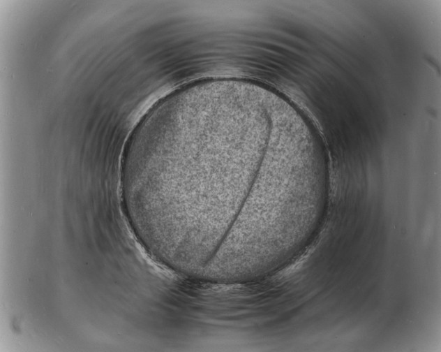 X0000102780845200809151101