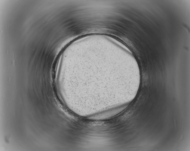 X0000102780846200809151101