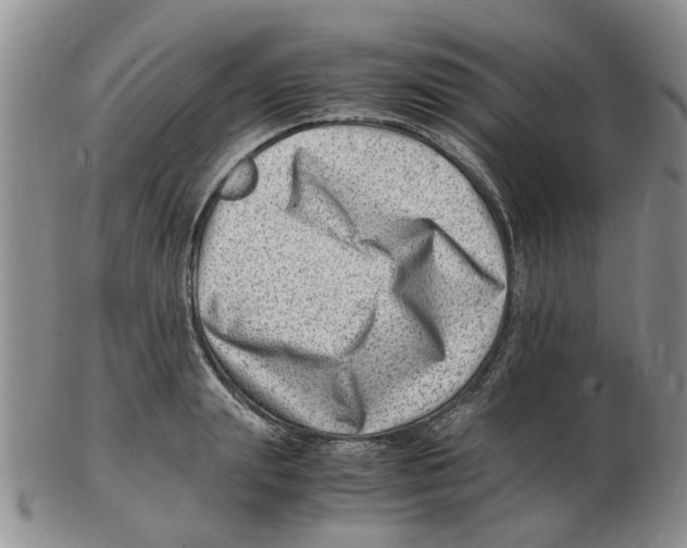 X0000102780847200809151101