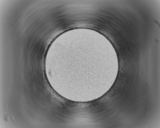 X0000102780848200809151101