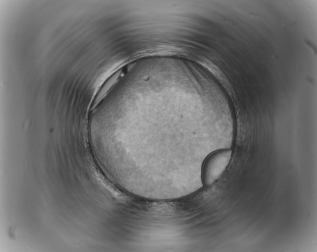 X0000102780850200809151101