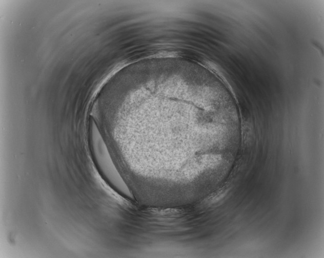 X0000102780851200809151101