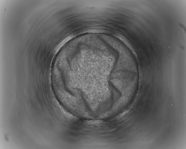 X0000102780853200809151101