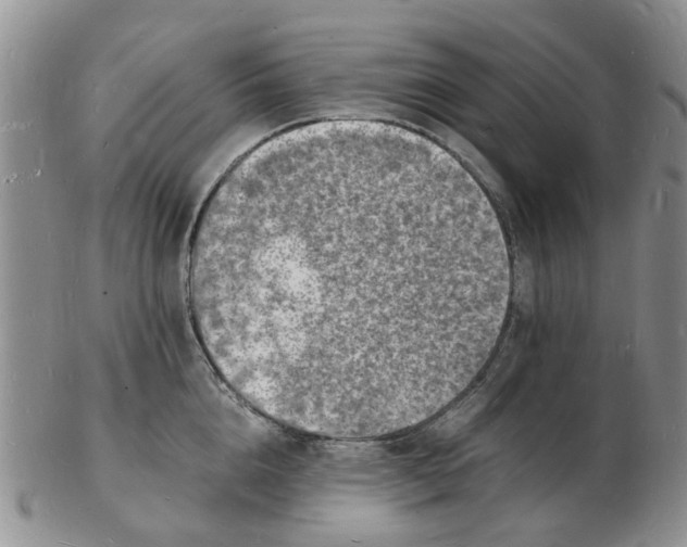 X0000102780856200809151101