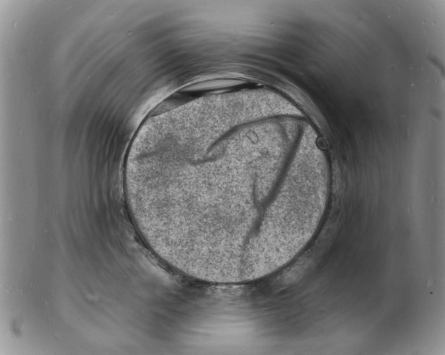 X0000102780858200809151101