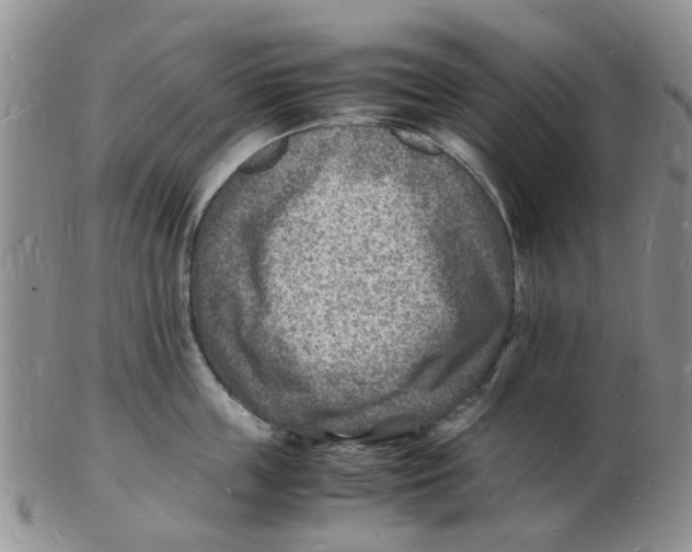 X0000102780859200809151101