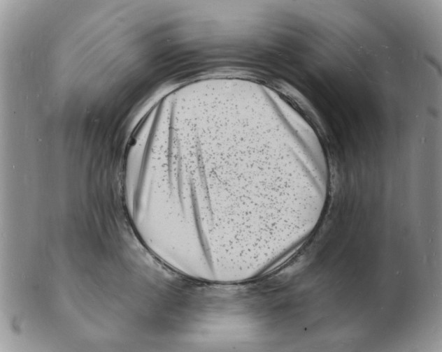 X0000102780860200809151101