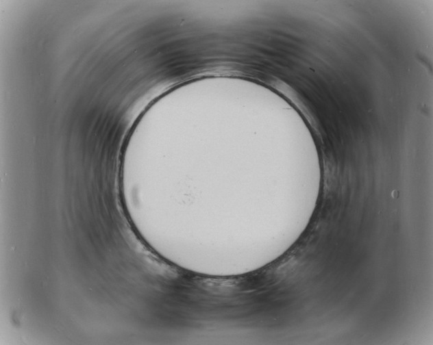 X0000102780861200809151101