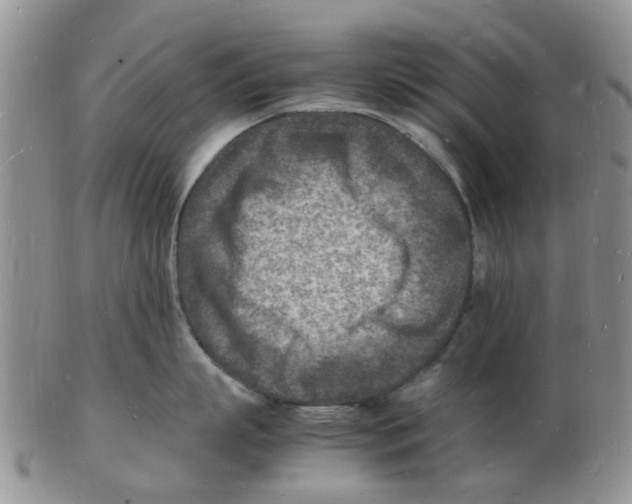 X0000102780863200809151101