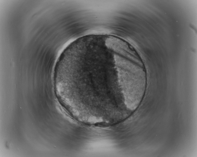 X0000102780864200809151101