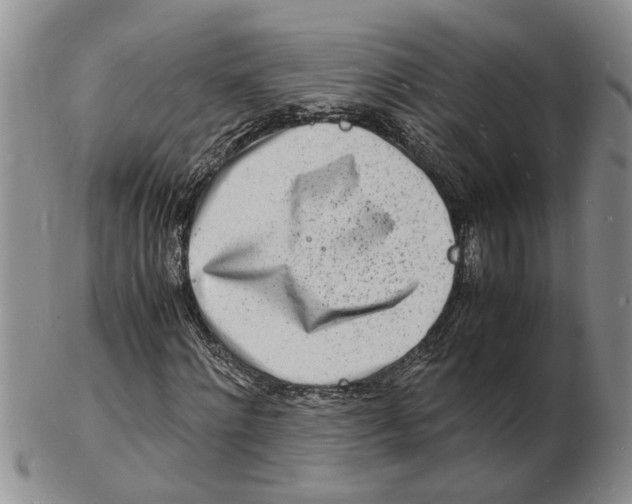 X0000102780868200809151100