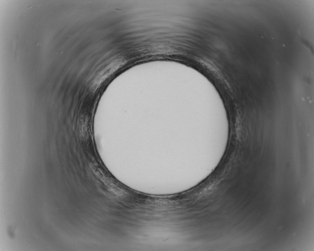 X0000102780873200809151100