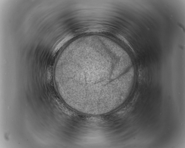 X0000102780874200809151100