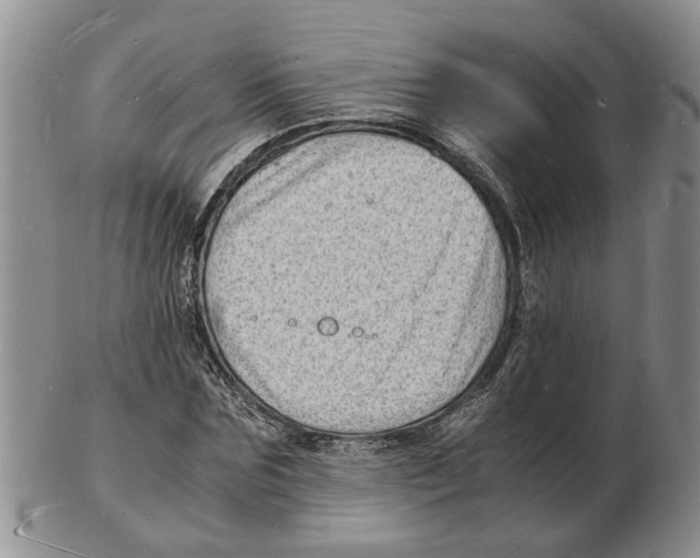 X0000102780875200809151100