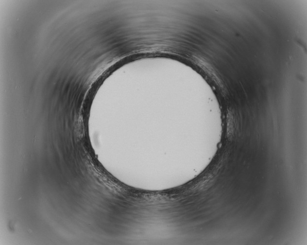 X0000102780876200809151100