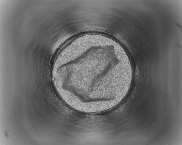 X0000102780877200809151100