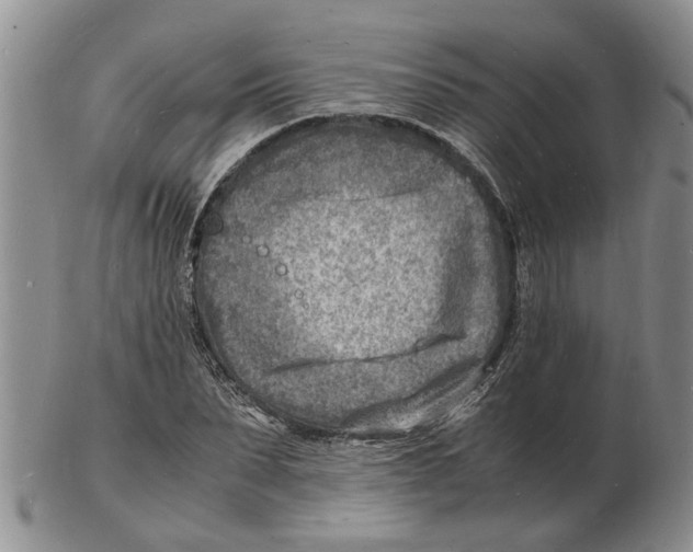 X0000102780879200809151100