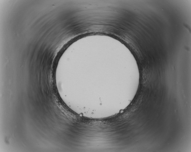 X0000102780880200809151100