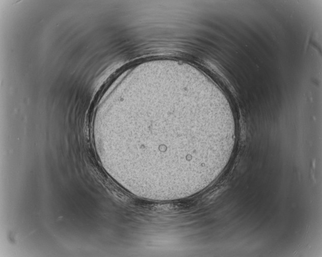 X0000102780883200809151100