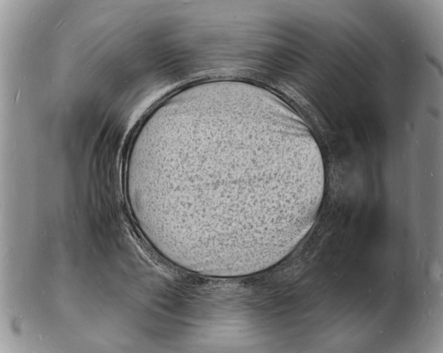 X0000102780886200809151100