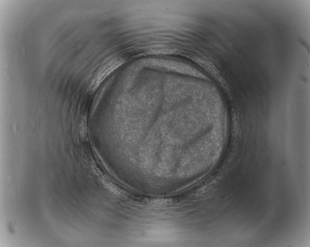 X0000102780889200809151100