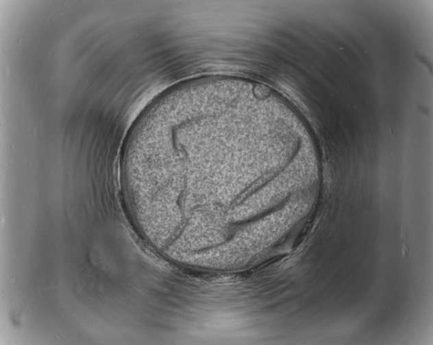 X0000102780891200809151100