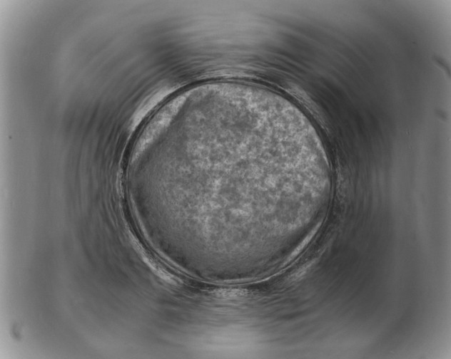 X0000102780893200809151100