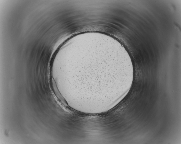 X0000102780894200809151100