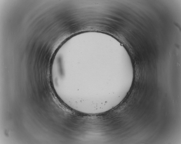 X0000102780896200809151100