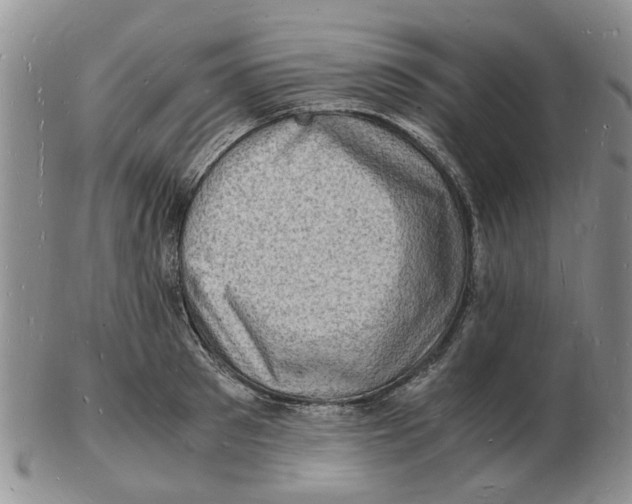 X0000102780897200809151100