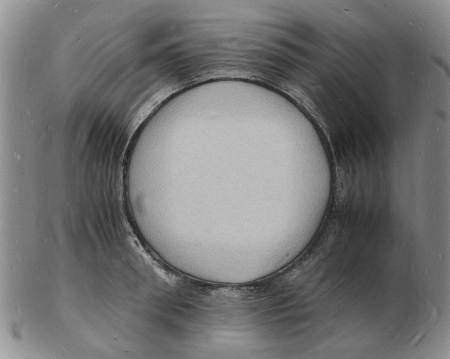 X0000102780898200809151100