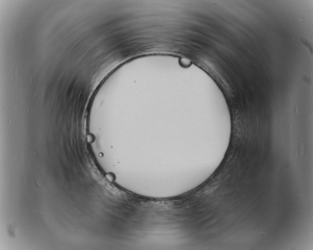 X0000102780900200809151100