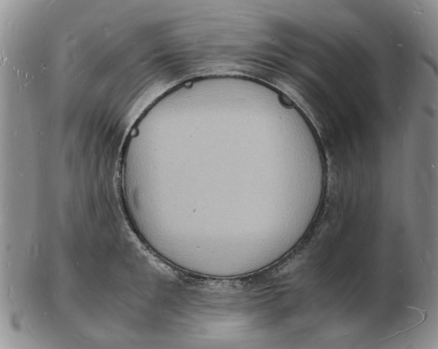 X0000102780901200809151100