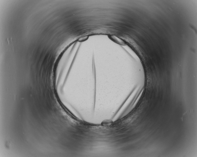 X0000102780902200809151100