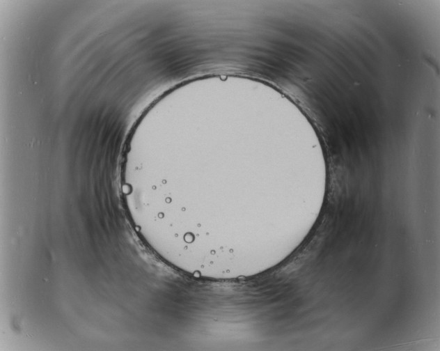 X0000102780904200809151100