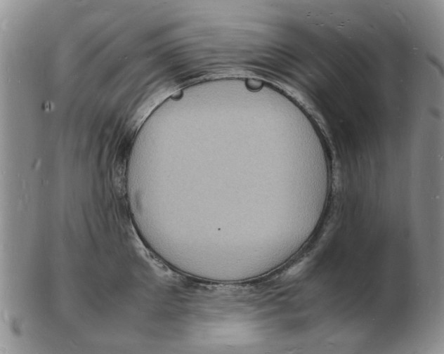 X0000102780905200809151100