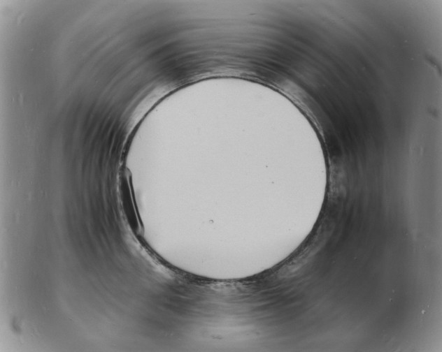 X0000102780906200809151100