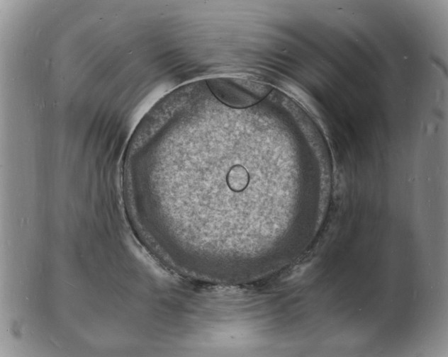 X0000102780907200809151100