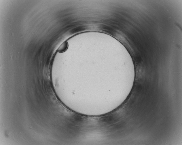 X0000102780908200809151100