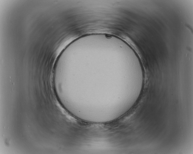 X0000102780909200809151100