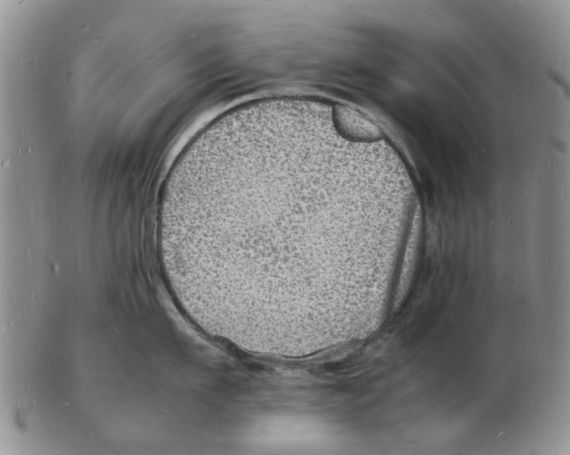 X0000102780911200809151100