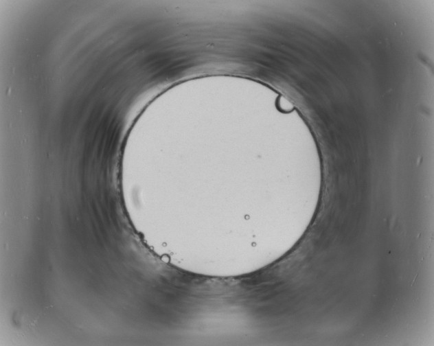 X0000102780912200809151100