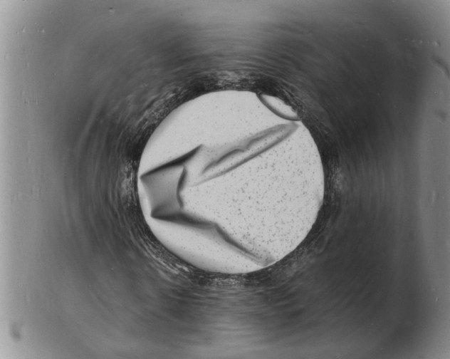 X0000102780914200809151059