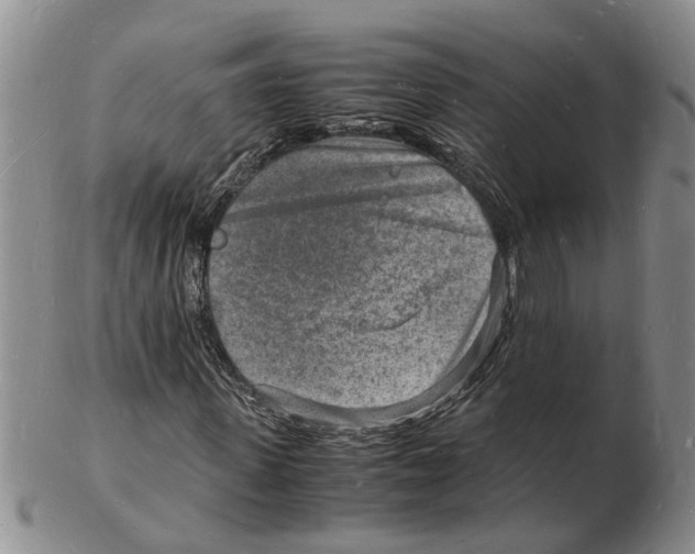 X0000102780915200809151059