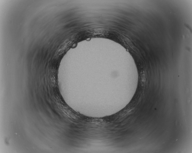 X0000102780916200809151059