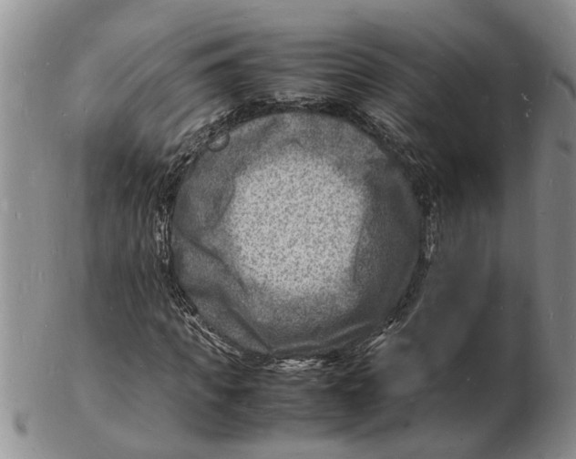 X0000102780917200809151059