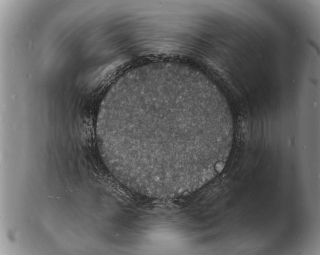 X0000102780918200809151059